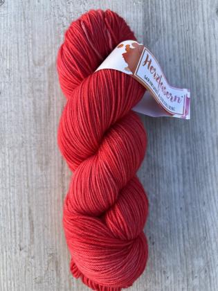 No 11 Feuerrose